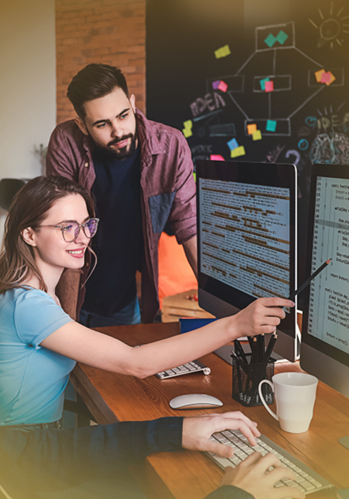 Software Development